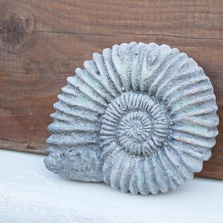 Ammonite Cottage Портленд Экстерьер фото